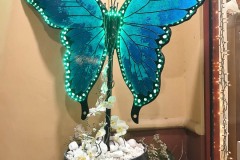 Find Your Passion, Pursue It, &Fly High