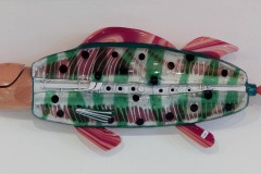 Shoefish Shoefish