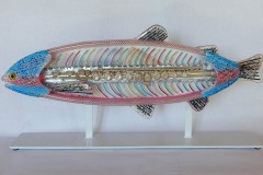 Rainbow Flaut Trout Rainbow Flaut Trout