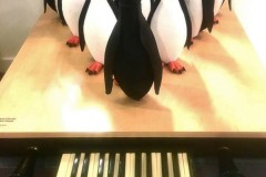 All Penguin Boys’ Choir Singing  ‘Dude, Don’t Stand So Clo